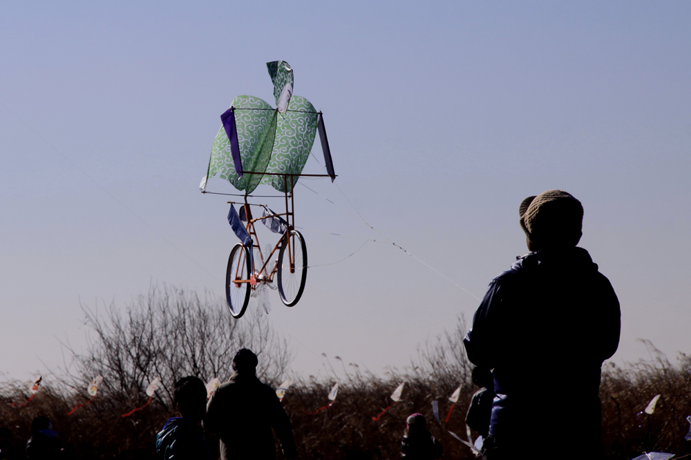 特選 「大空に舞う自転車」　画像