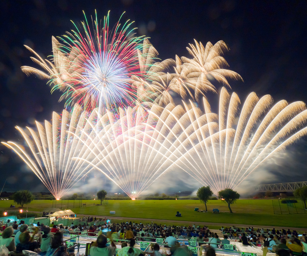 入選　夏の夜を彩る