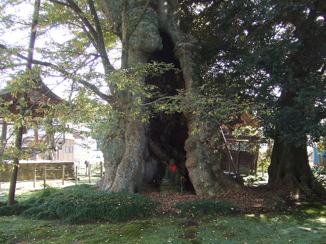 高源寺