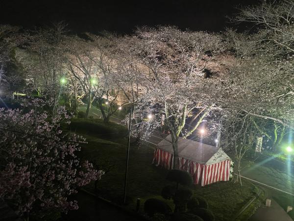 ライトアップ画像